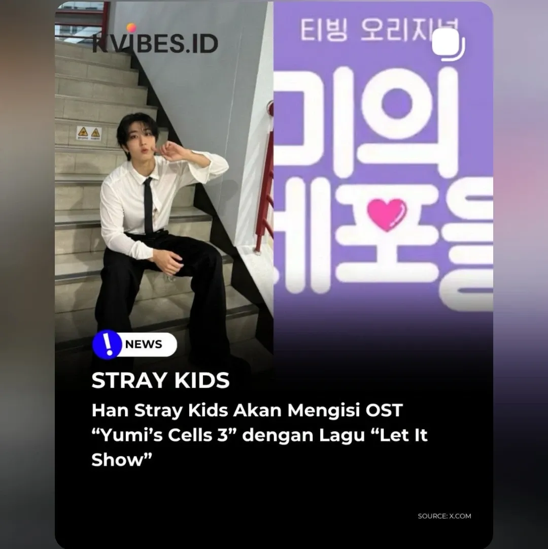 Stray Kids 팬이 찍은 순간