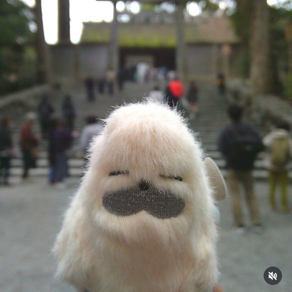 Signature photo of Tanaka Yuuki (IS:SUE) capturing their charm