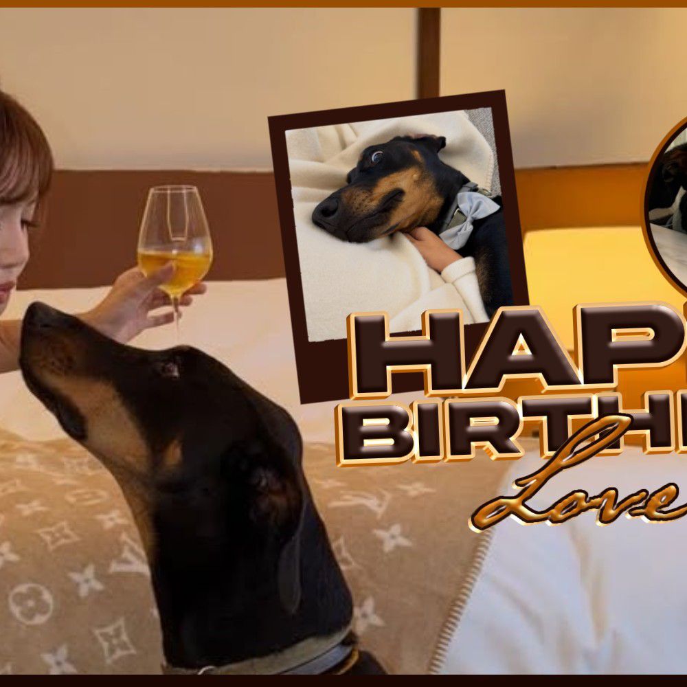 Lisa (BLACKPINK)的最新照片