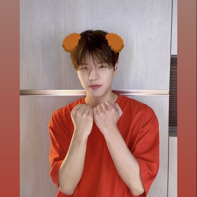 Recent activity shot of Stray Kids