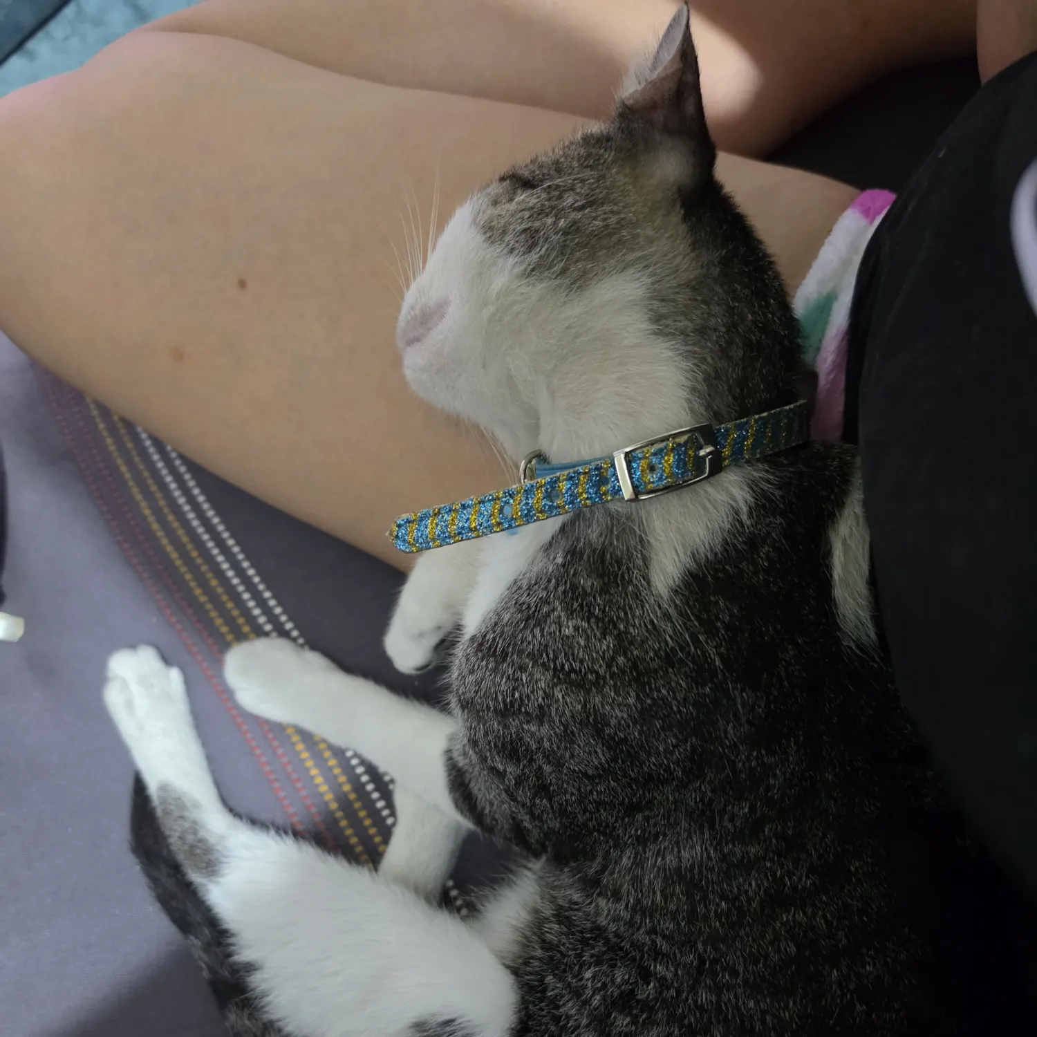 A moment captured by SEVENTEEN's fan