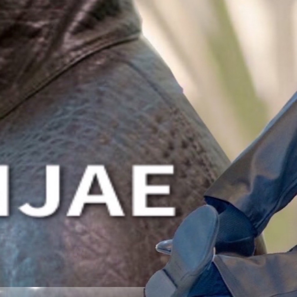 Latest photo of Hyunjae (THE BOYZ)