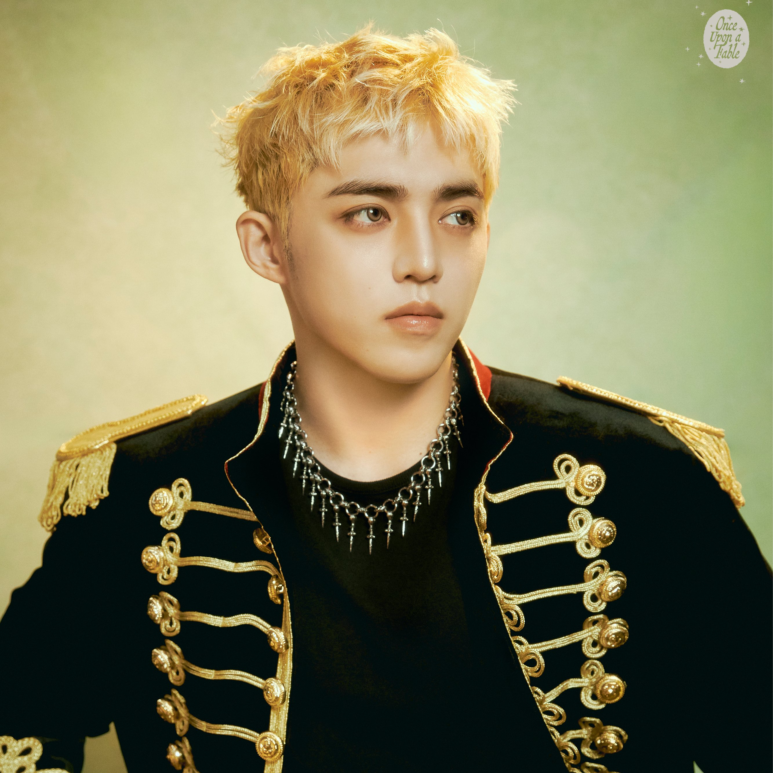 세븐틴 팬이 찍은 순간