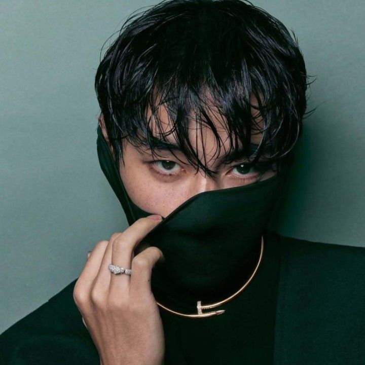 V (防弹少年团)的最新照片