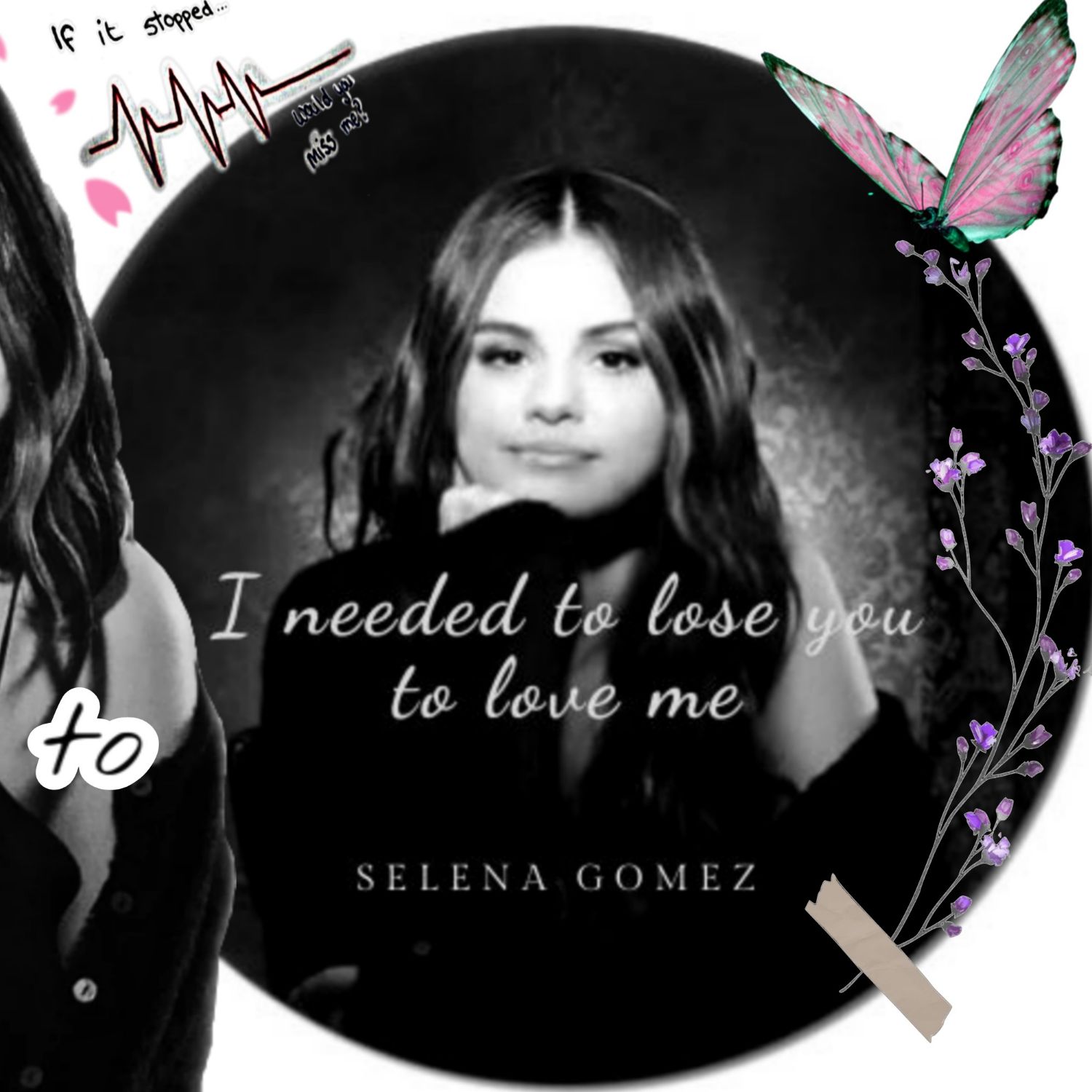 A moment captured by Selena Gomez's fan