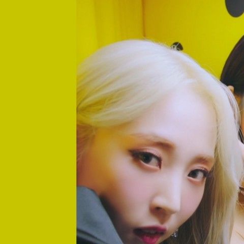 MAMAMOOの最近の活動写真