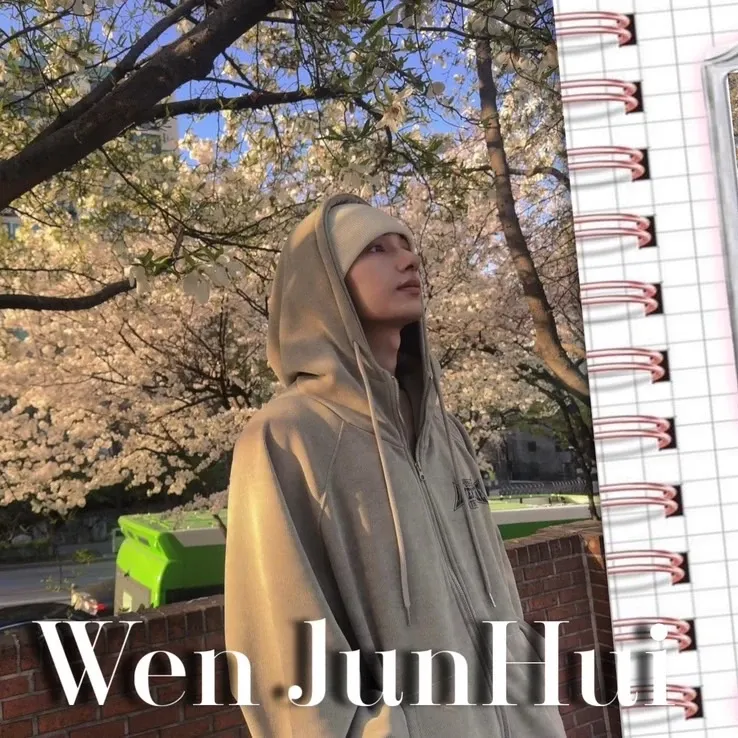 A moment captured by Jun (SEVENTEEN)'s fan