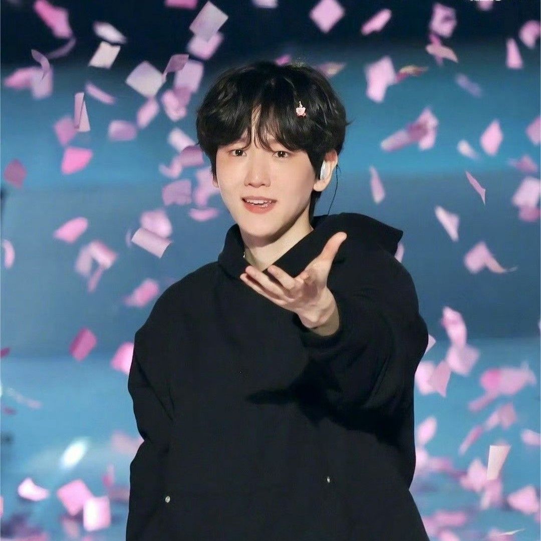 伯賢 (EXO)的幕後花絮