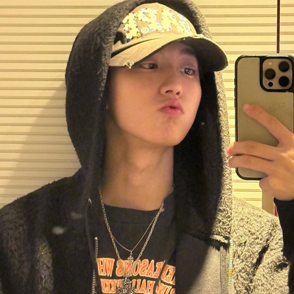 Recent activity shot of HAN (Stray Kids)