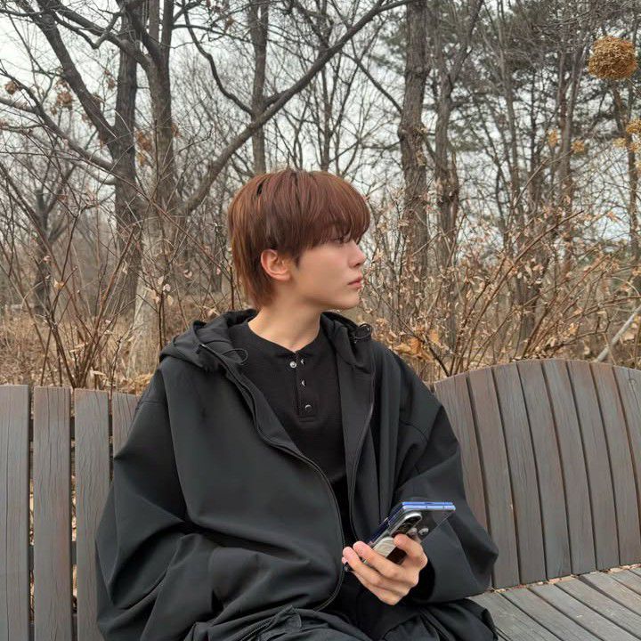 세븐틴 팬이 찍은 순간