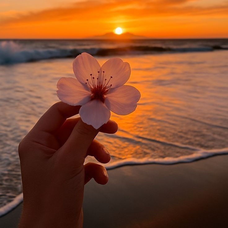 TWICE 최근 활동샷