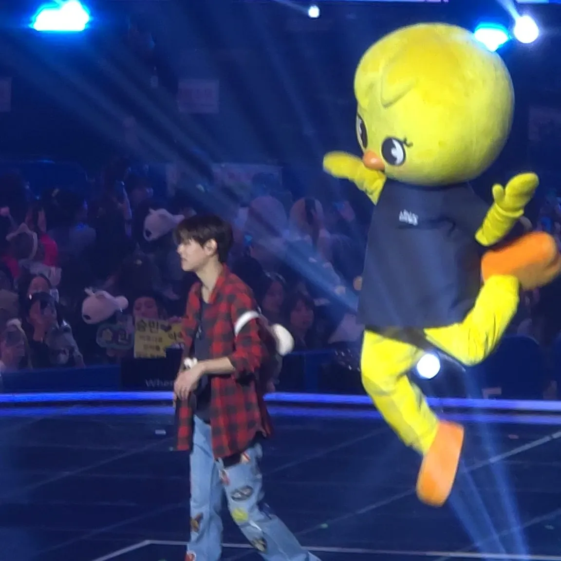 Recent activity shot of Stray Kids