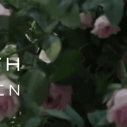 肖戦の最近の活動写真