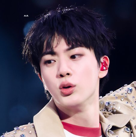 Momen yang diabadikan oleh penggemar Jin (BTS)