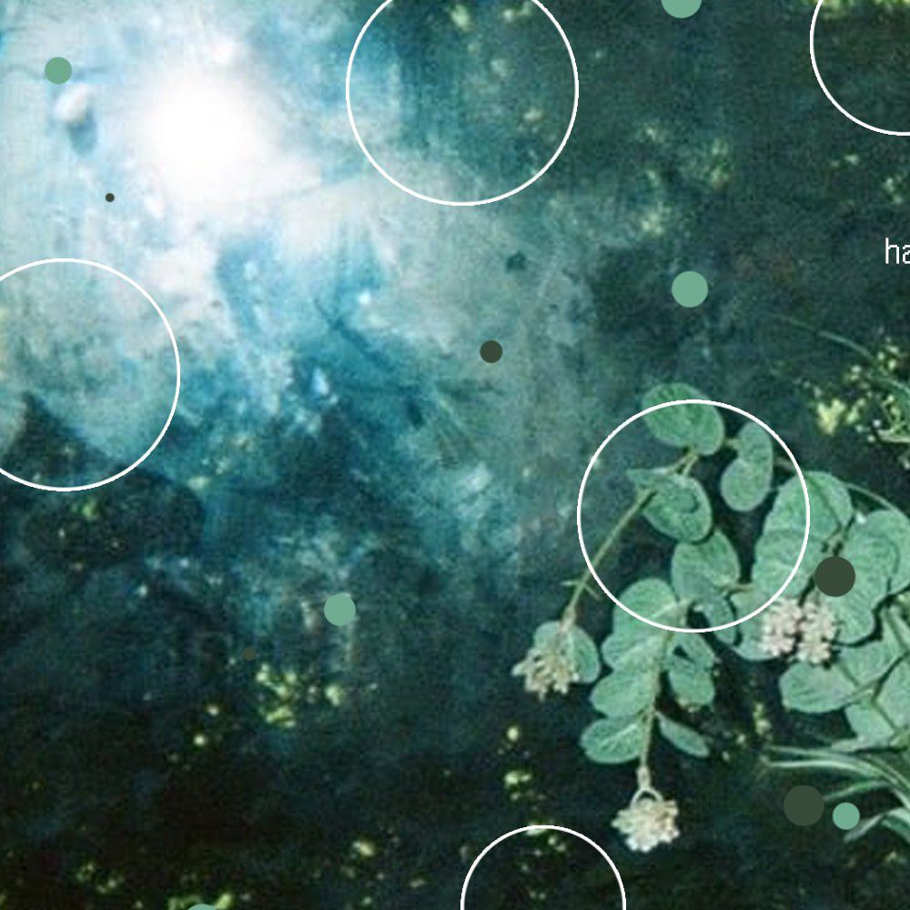 Recent activity shot of LOONA