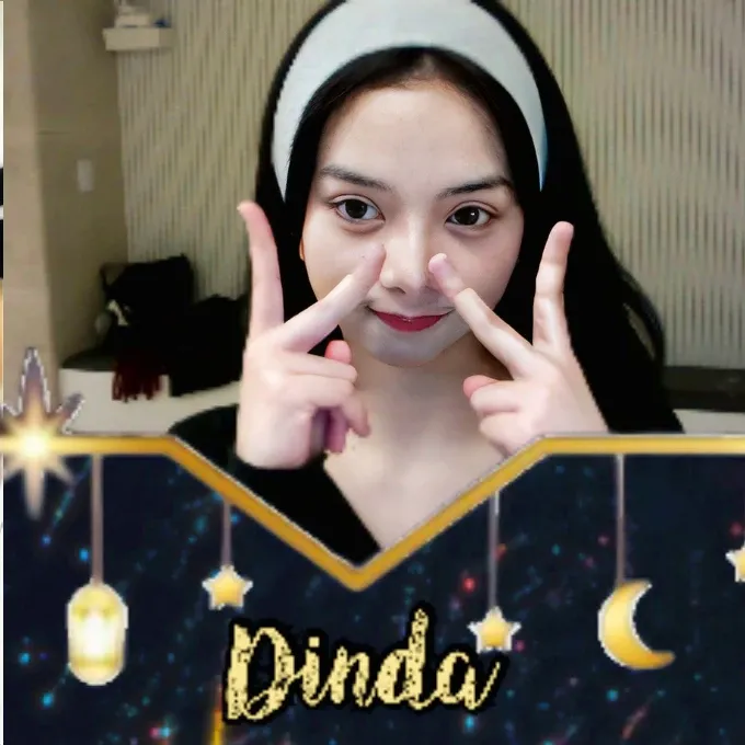 Recent activity shot of Dinda (SECRET NUMBER)