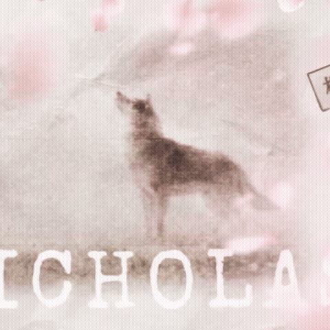 Behind-the-scenes cut of Nicholas (&TEAM)