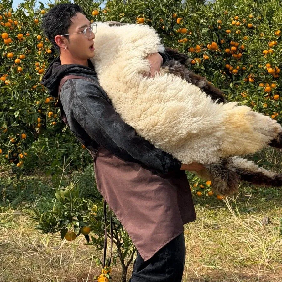 백호의 비하인드 컷