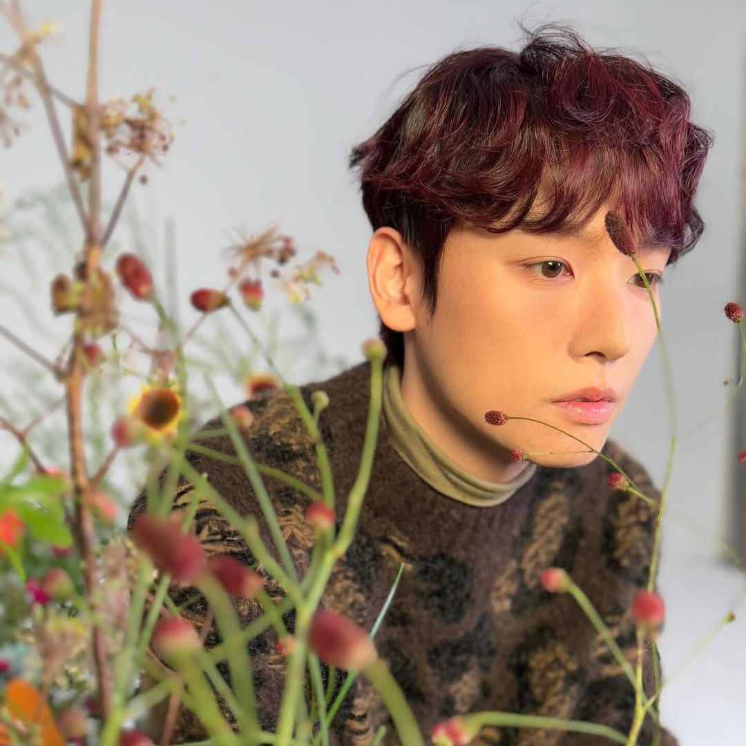 Recent activity shot of Inseong (SF9)