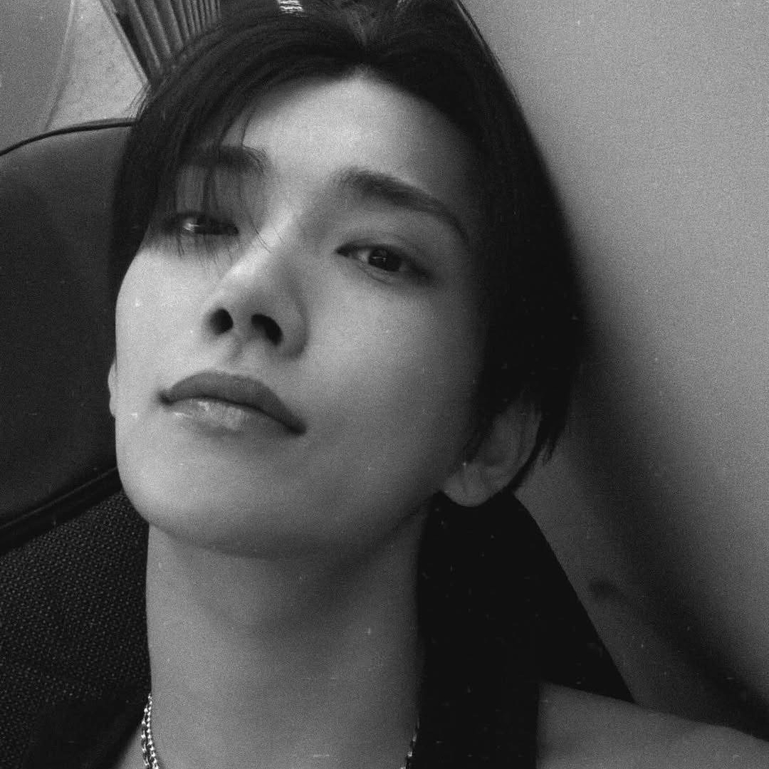 세븐틴 팬이 찍은 순간