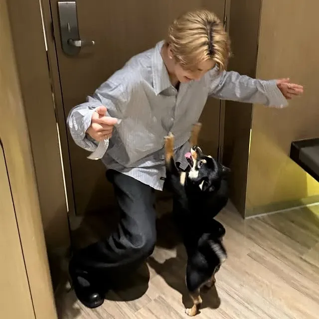 ホー・シンロン (ALPHA DRIVE ONE)の最近の活動写真