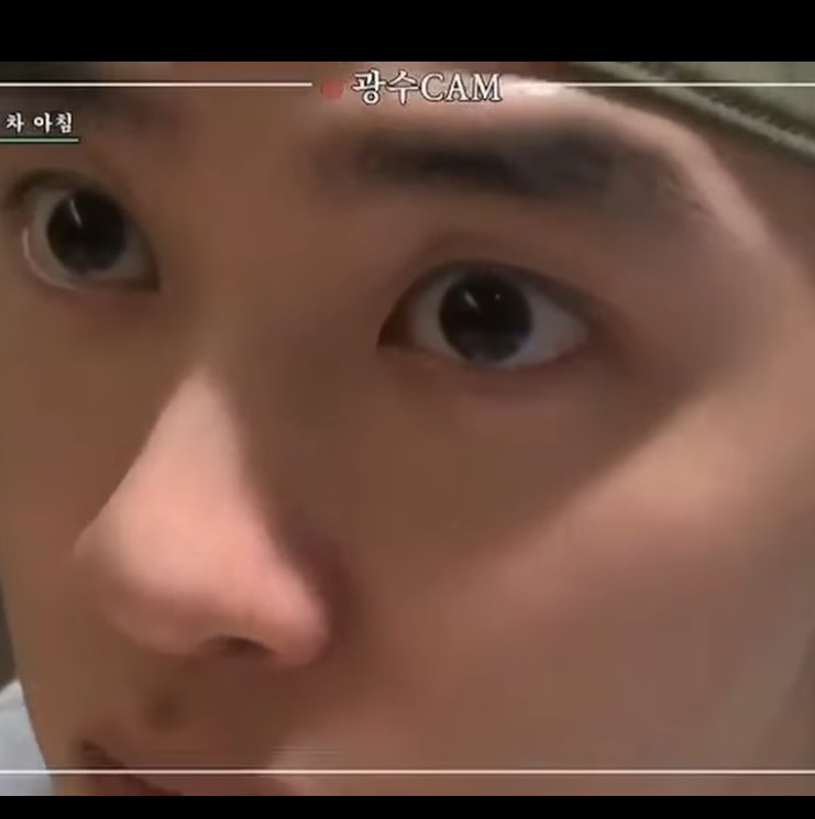 디오 (EXO) 팬이 찍은 순간