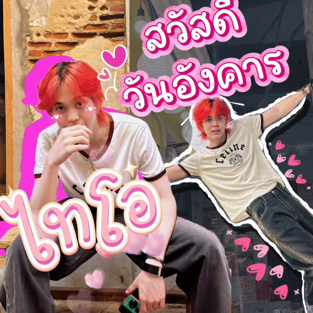 타이오 (NexT1DE) 팬이 찍은 순간