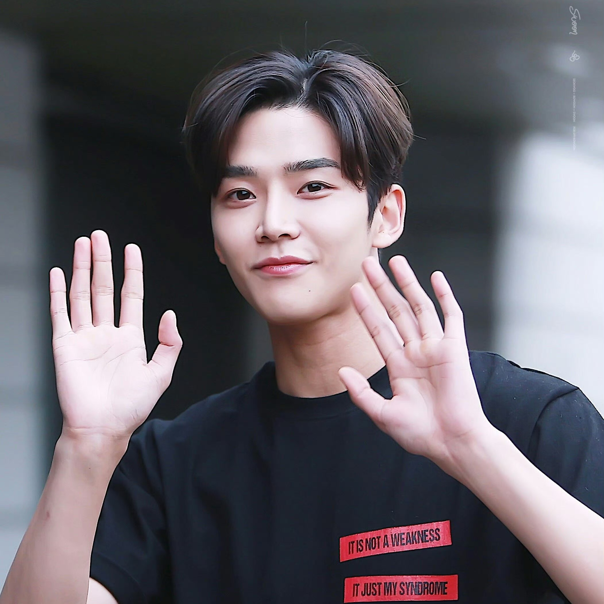 로운의 최신 사진