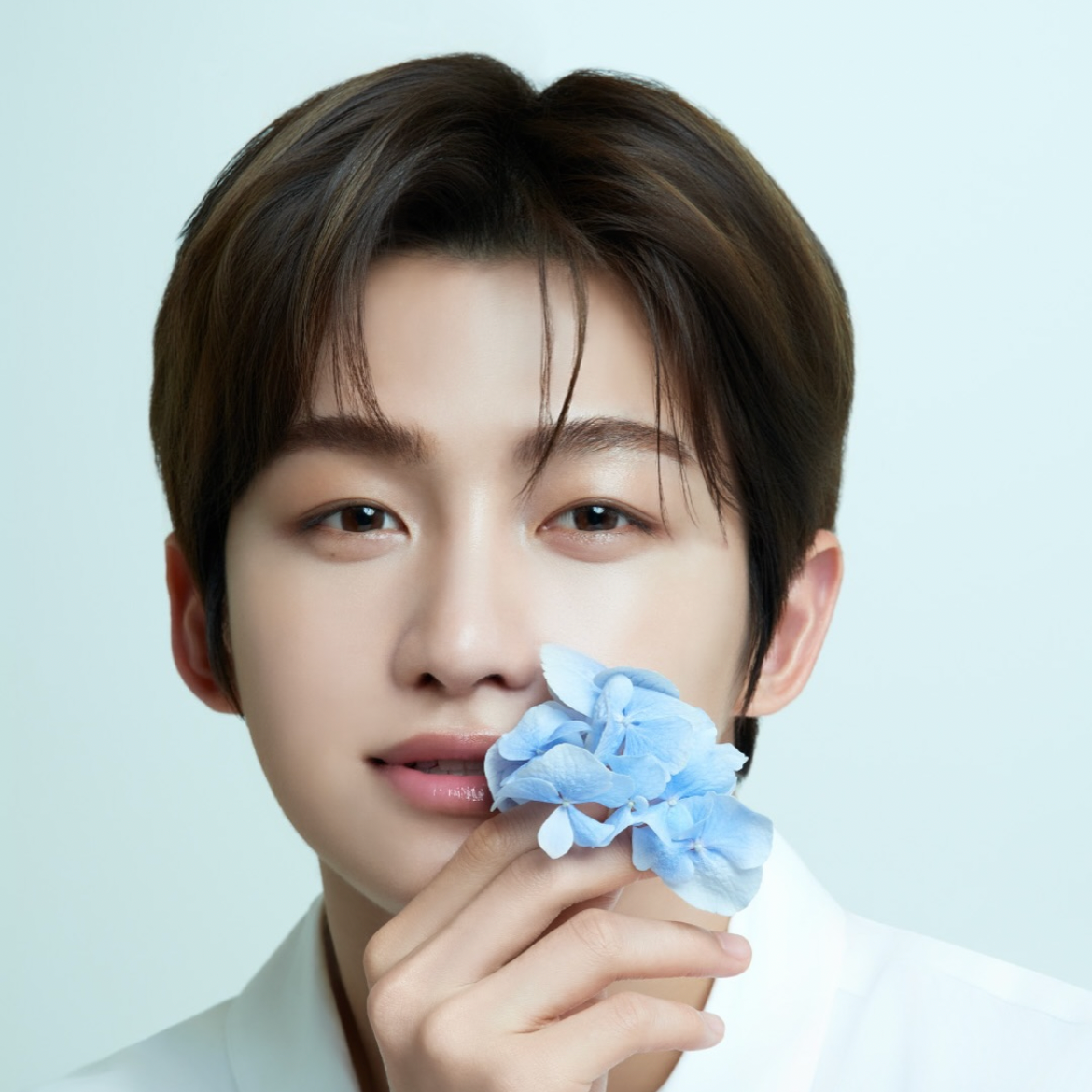 Recent activity shot of TWS