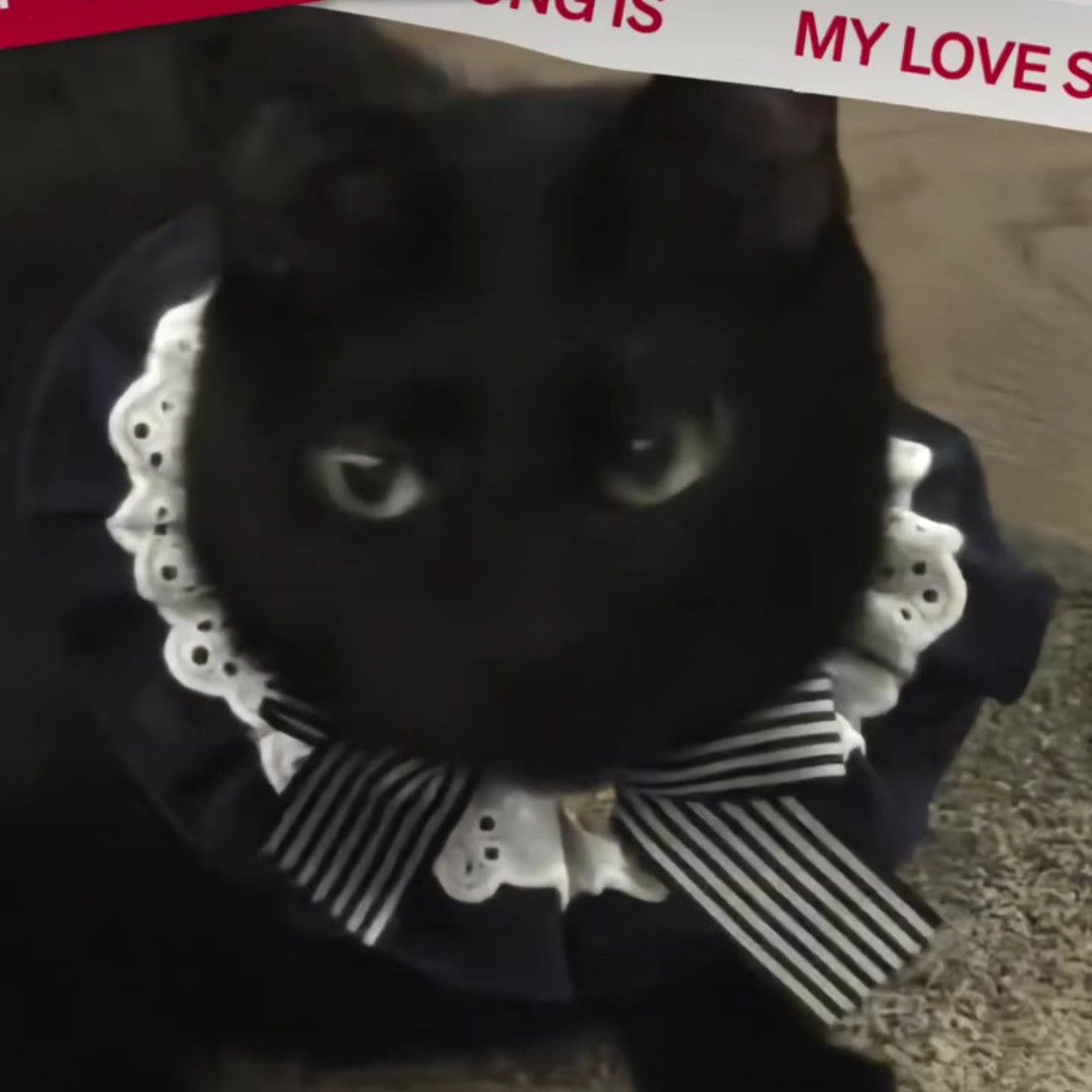 Foto aktivitas terbaru SUGA (BTS)