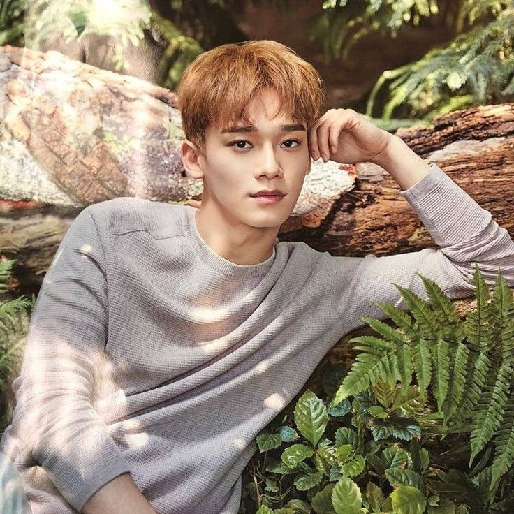 A moment captured by Chen (EXO)'s fan