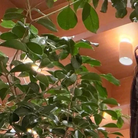 리아 (ITZY) 팬이 찍은 순간