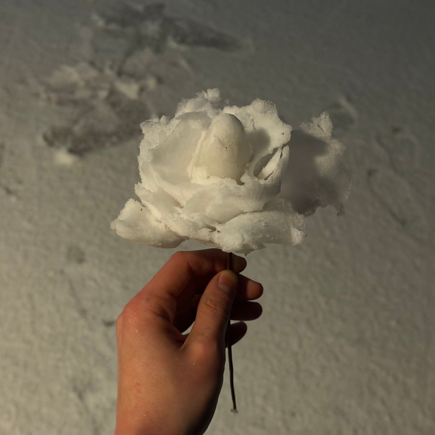 성한빈 (제로베이스원)의 최신 사진