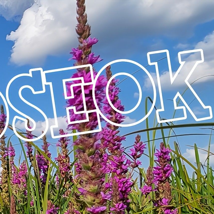 Latest photo of Wooseok (PENTAGON)