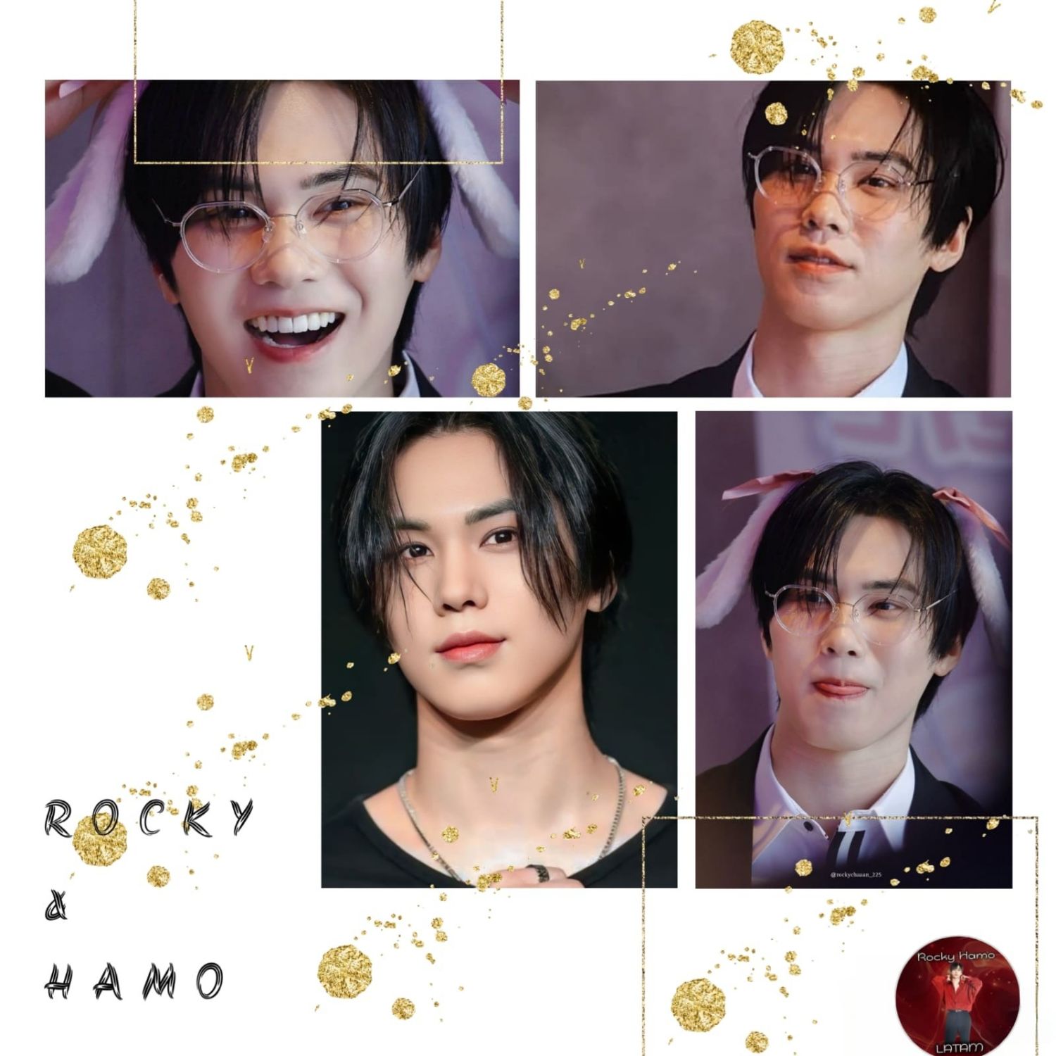 Latest photo of Rocky