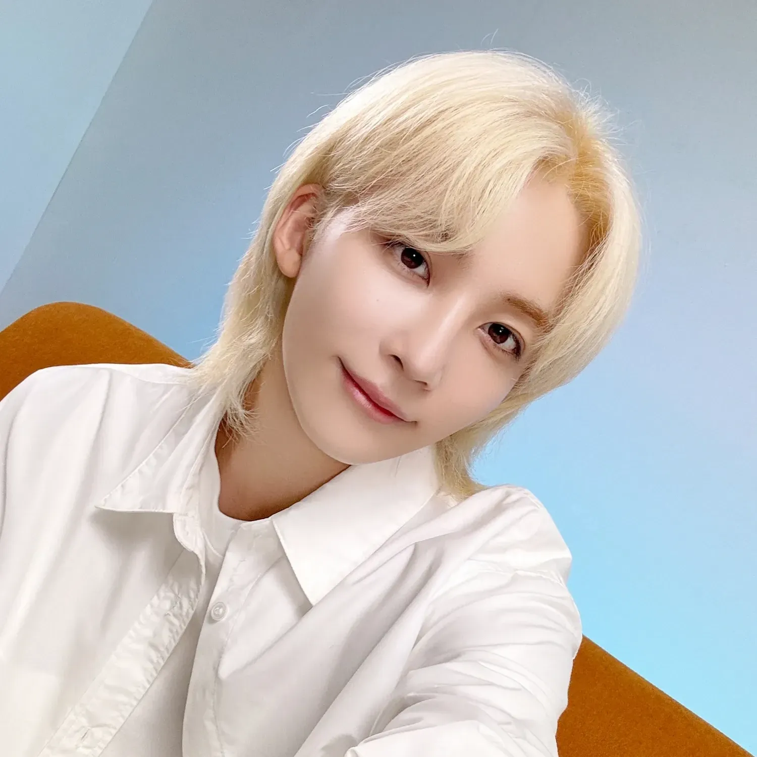 세븐틴 팬이 찍은 순간