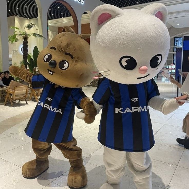 A moment captured by Stray Kids's fan