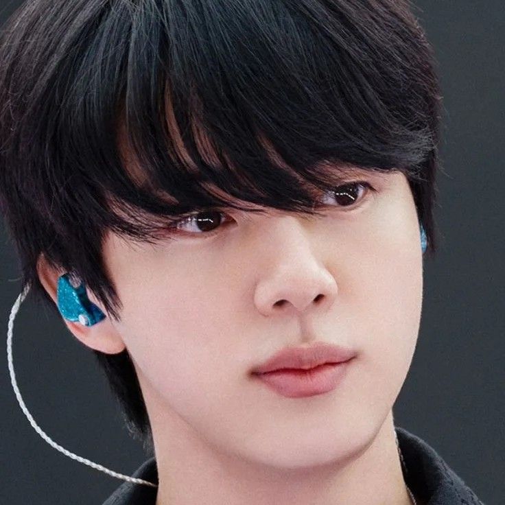 A moment captured by Jin (BTS)'s fan