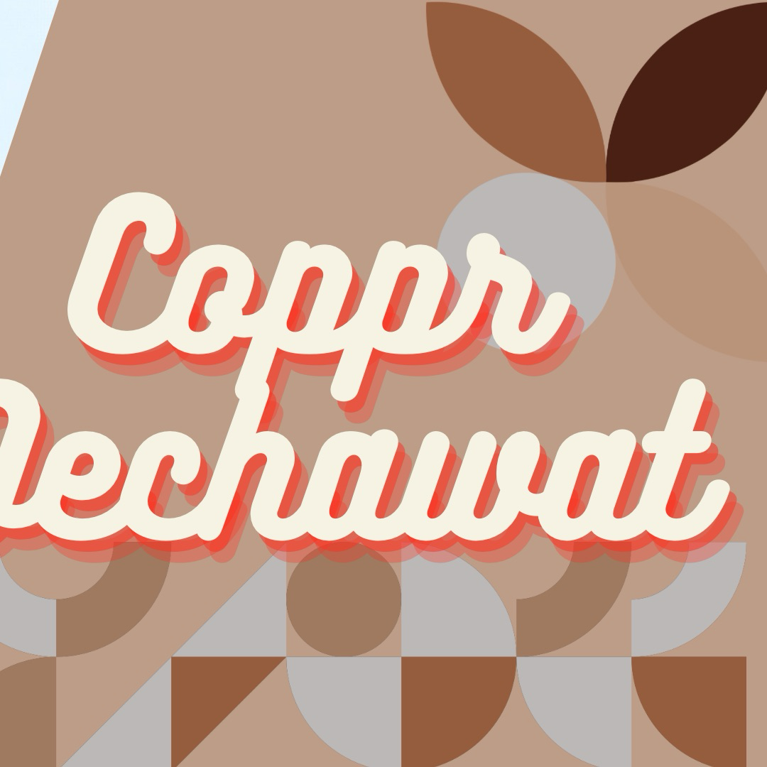 Copper (BUS)の最近の活動写真
