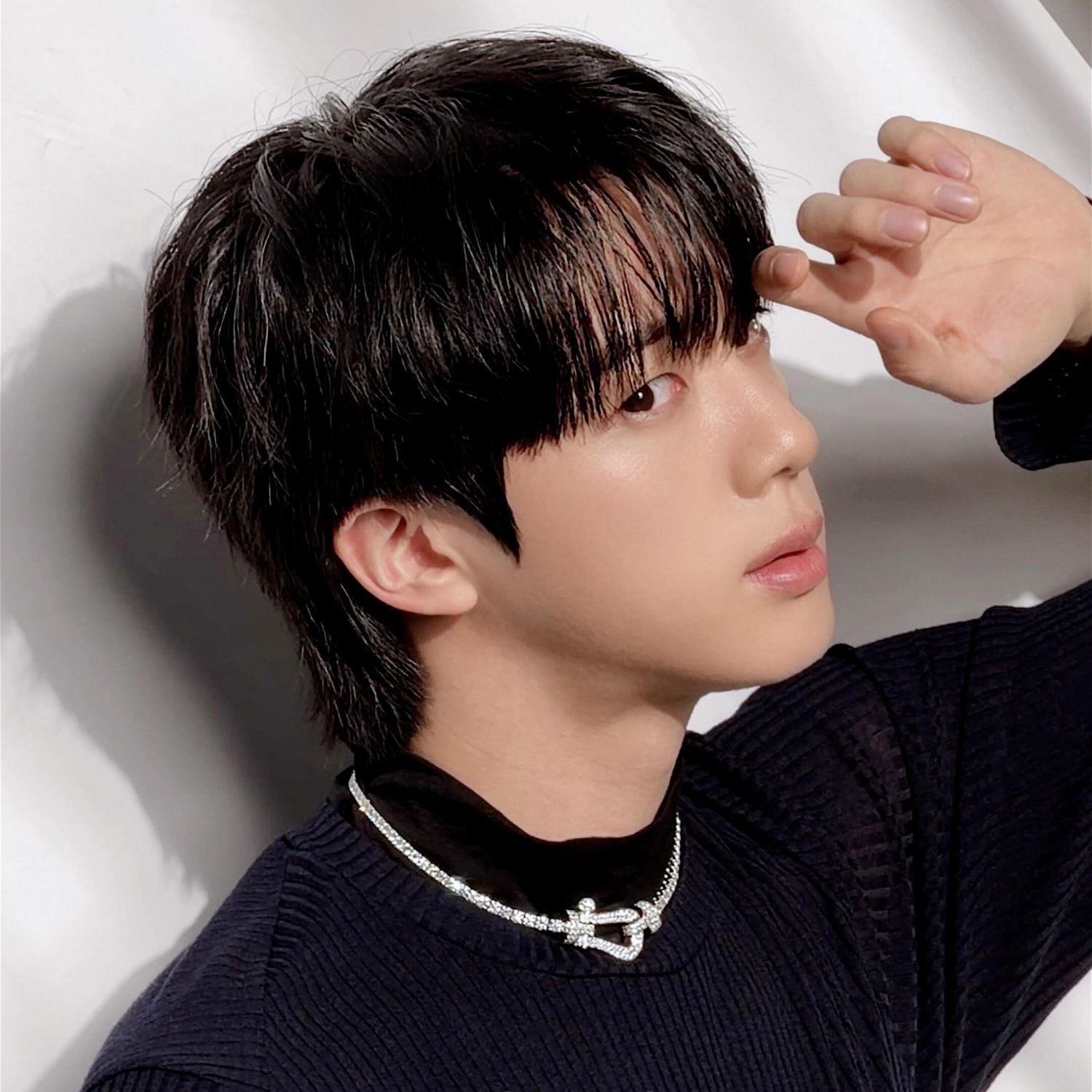 진 (방탄소년단) 팬이 찍은 순간