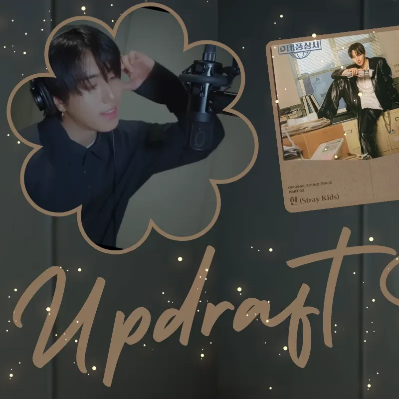 HAN (Stray Kids)粉絲拍下的瞬間