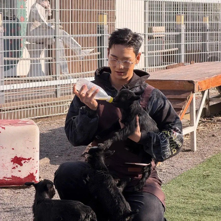 白虎的幕后花絮