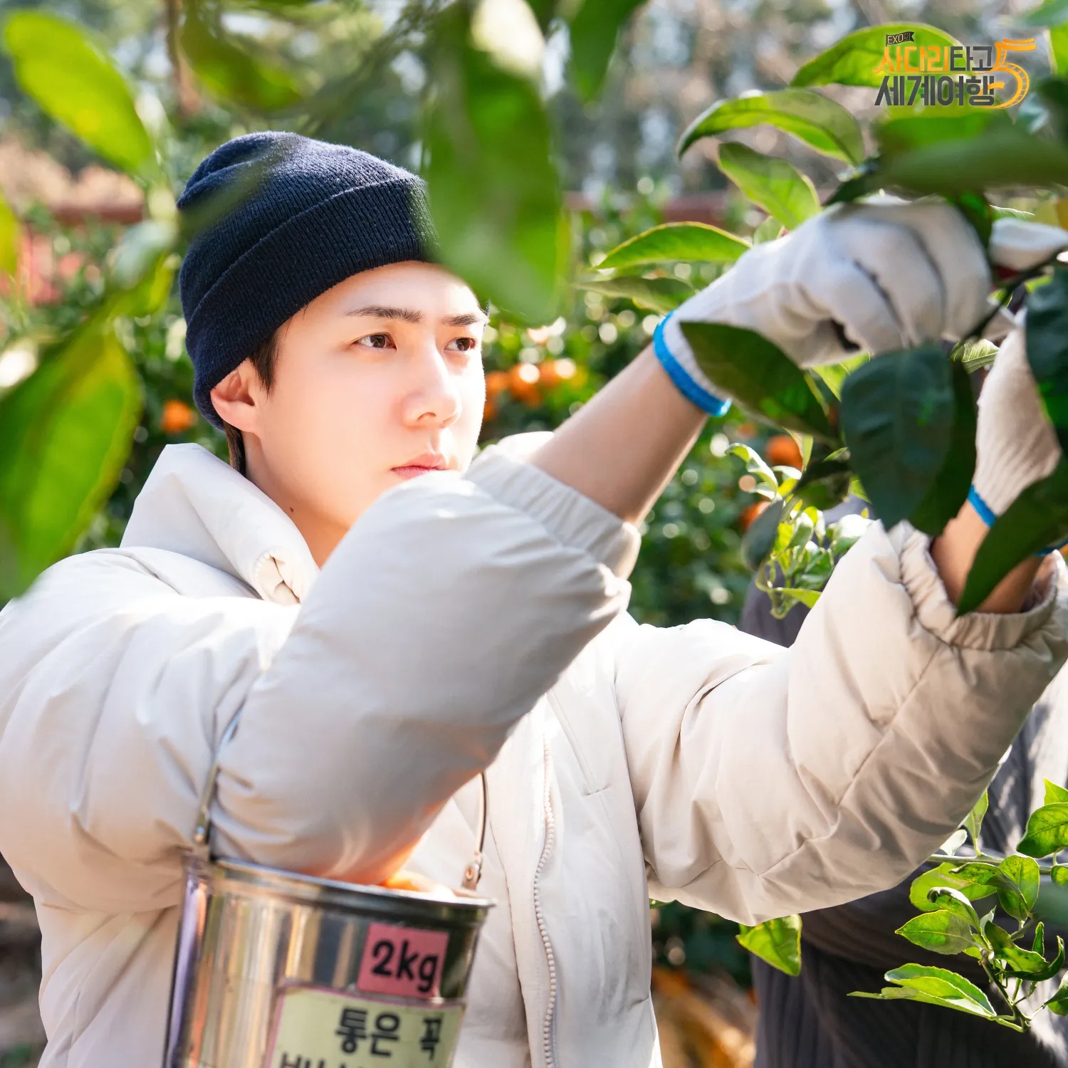 세훈 (EXO)의 최신 사진