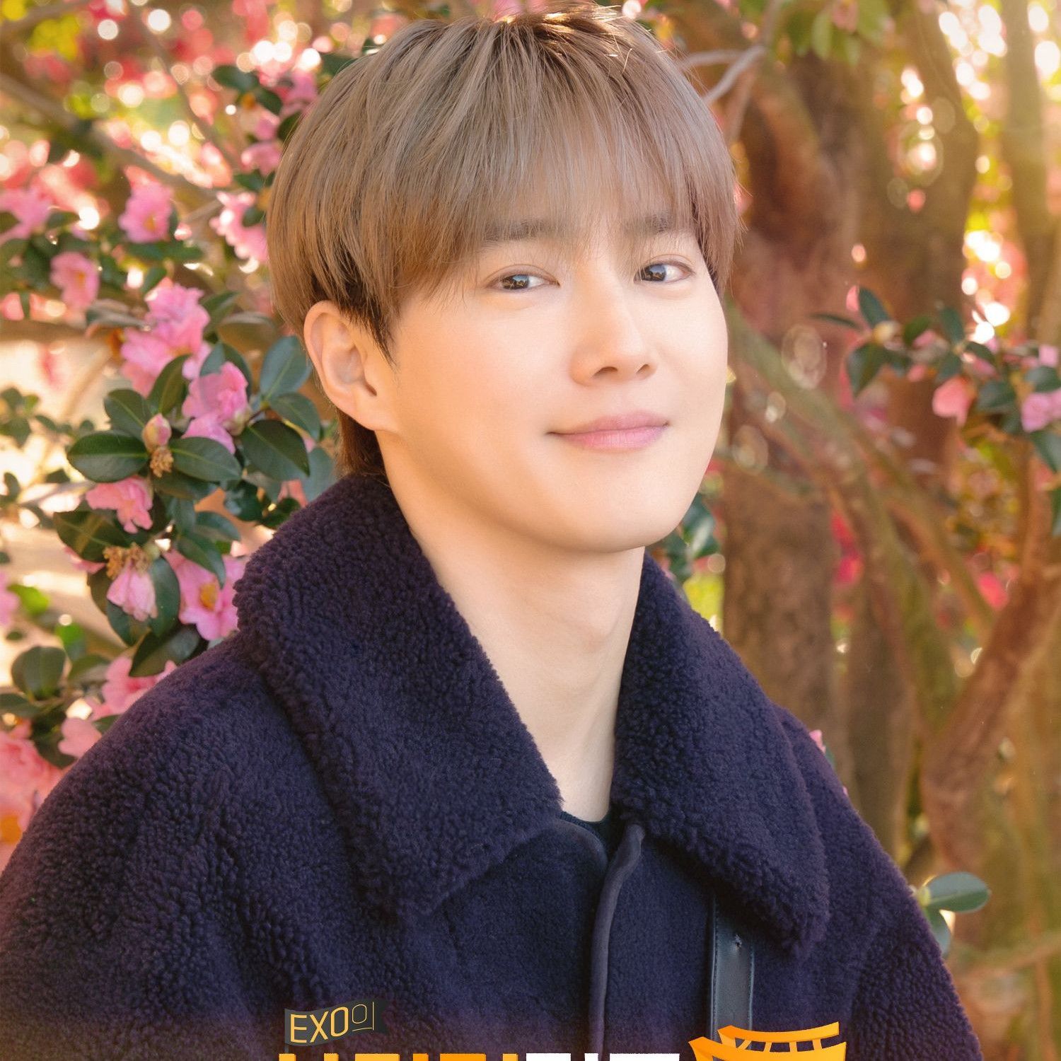 Behind-the-scenes cut of Suho (EXO)