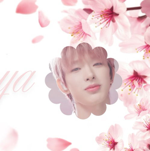 Behind-the-scenes cut of Tomoya (NEXZ)