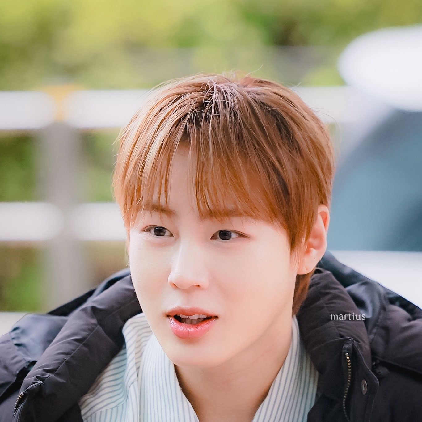 하성운 팬이 찍은 순간