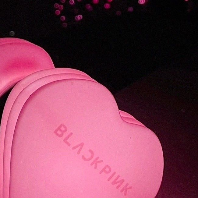 BLACKPINK粉絲拍下的瞬間