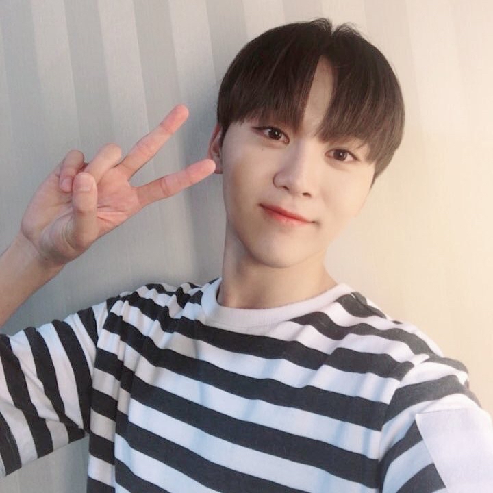 세븐틴 최근 활동샷