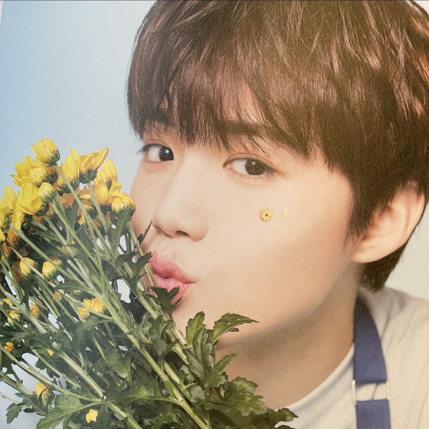 도영 (TREASURE) 최근 활동샷