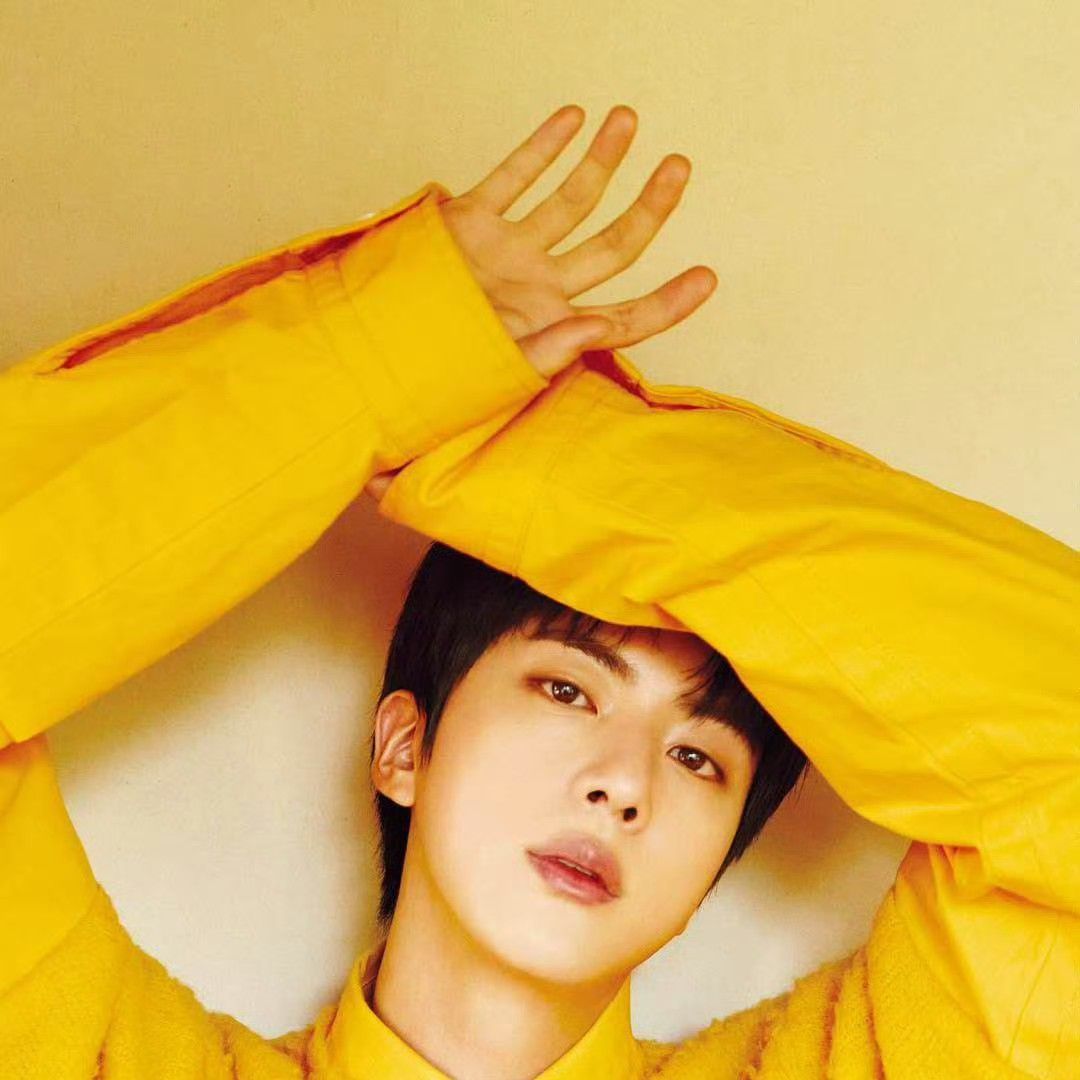 A moment captured by Jin (BTS)'s fan